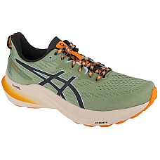 ASICS GT-2000 12 TR 1011B775-250