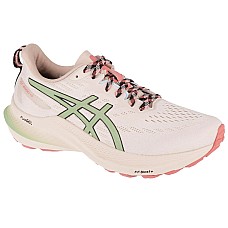 ASICS GT-2000 12 TR 1012B587-250