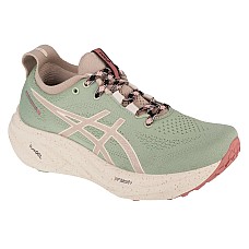 ASICS Gel-Nimbus 26 TR  1012B653-250