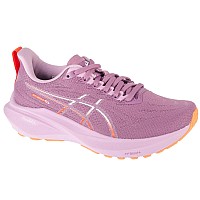ASICS GT-2000 13 1012B666-501