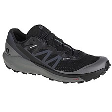 Salomon Sense Ride 4 GTX 413071