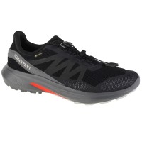 Salomon Hypulse GTX 415959