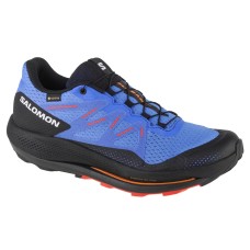 Salomon Pulsar Trail GTX 416080