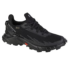 Salomon Alphacross 4 GTX W 470641