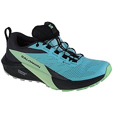 Salomon Sense Ride 5 GTX W 472160