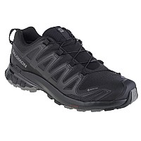 Salomon XA Pro 3D v9 GTX 472701