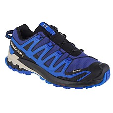 Salomon XA Pro 3D v9 GTX 472703