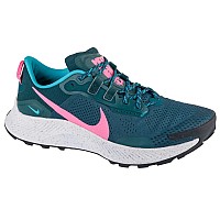 Nike Pegasus Trail 3 DA8698-300