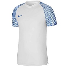Nike NK DF Academy JSY SS DH8031-102