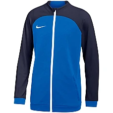Nike Dri FIT Academy Pro Jr DH9283-463