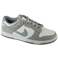 Nike Dunk Low Retro HF5441-105
