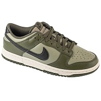 Nike Dunk Low Retro HF5441-300