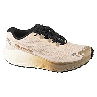 Salomon Aero Blaze 4 Grvl W L45401900