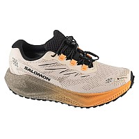 Salomon Aero Blaze 4 Grvl GTX W L45404000
