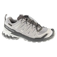 Salomon XA Pro 3D v9 GTX W L45412000