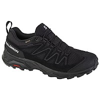 Salomon X Ward GTX L47182300