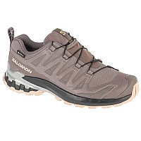 Salomon XA Pro 3D v9 GTX W L47744500