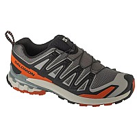 Salomon XA Pro 3D v9 L47747600