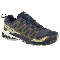 Salomon XA Pro 3D v9 GTX L47823000