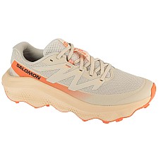 Salomon Ultra Flow 2 W L47883100