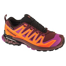 Salomon XA Pro 3D v9 GTX W L47961900