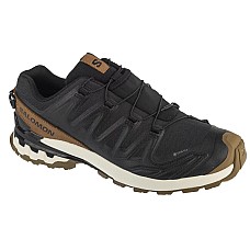 Salomon XA Pro 3D v9 GTX L47963800