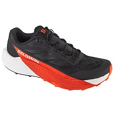 Salomon Pulsar L47975400