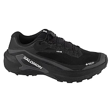 Salomon Genesis 2 GTX L49300300