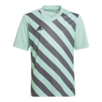 Adidas Junior Entrada 22 GFX HF0127
