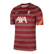 Nike Liverpool FC DB0254-678