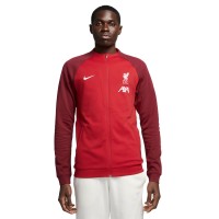 Nike Liverpool FC Academy Pro DV5050-687