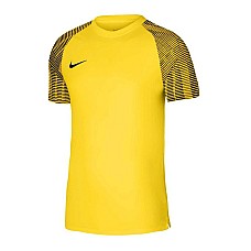 Nike Junior Academy DH8369-719