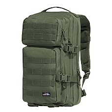 Pentagon ASSAULT SMALL D16001 06-Olive Green