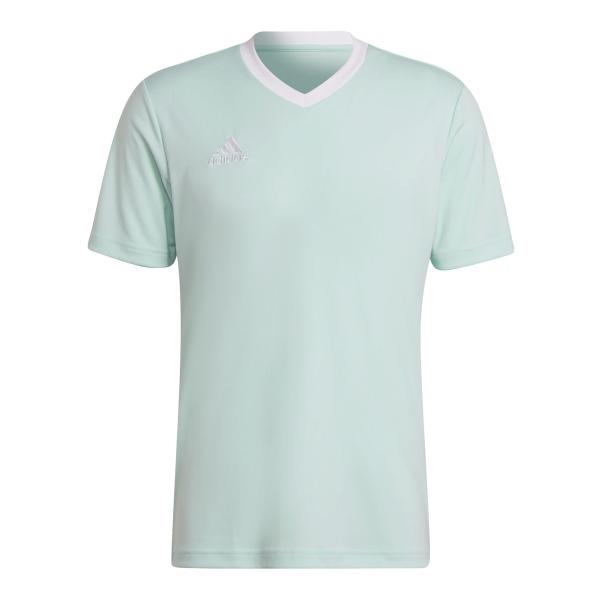 Adidas Entrada 22 HC5073