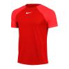 Nike Dri-Fit Academy Pro DH9225-657