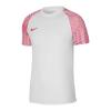 Nike Junior Academy DH8369-100