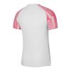Nike Junior Academy DH8369-100