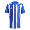 Adidas Junior Striped 21 GH7323