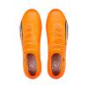 Puma Ultra Ultimate FG/AG 107163-01