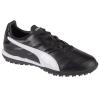 Puma King Pro 21 TT 106552-01