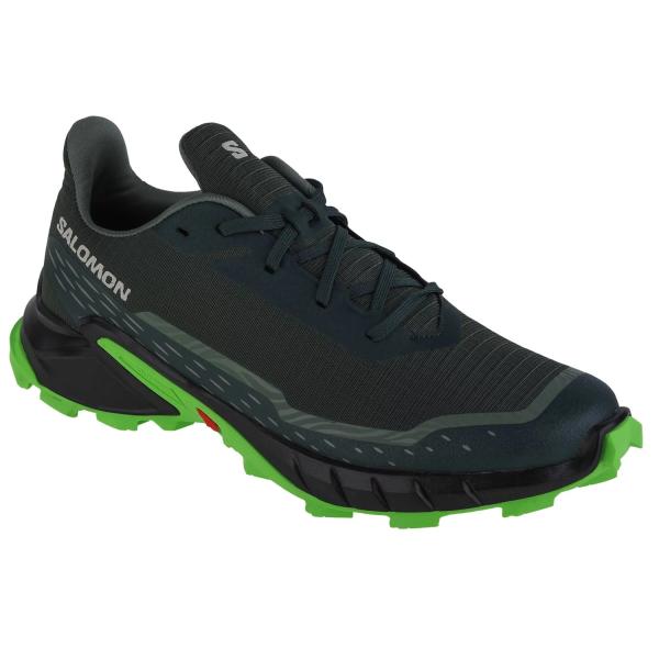 Salomon Alphacross 5 473117