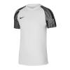 Nike Dri-Fit Academy SS DH8031-104