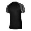 Nike Junior Academy DH8369-010