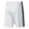 Adidas Squadra 21 GN5773