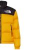 The North Face 1996 Retro Nuptse Jacket NF0A3C8DZU31