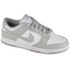 Nike Dunk Low Retro DD1391-103