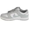 Nike Dunk Low Retro DD1391-103