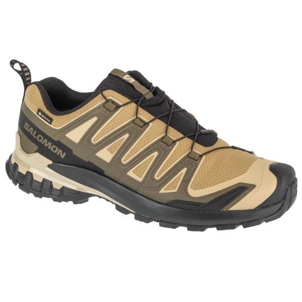 Salomon XA Pro 3D v9 GTX 472704