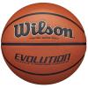 Wilson Evolution Indoor Game Ball WTB0516XBEMEA