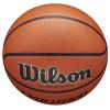 Wilson Evolution Indoor Game Ball WTB0516XBEMEA